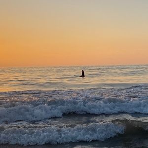 Meet your Posher, Ava